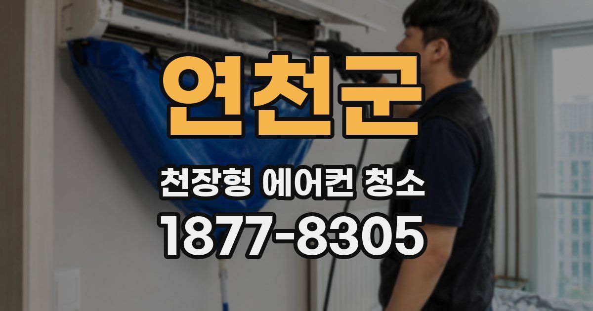 연천군 천장형 에어컨 청소