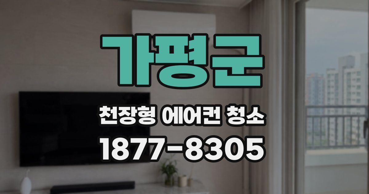 가평군 천장형 에어컨 청소