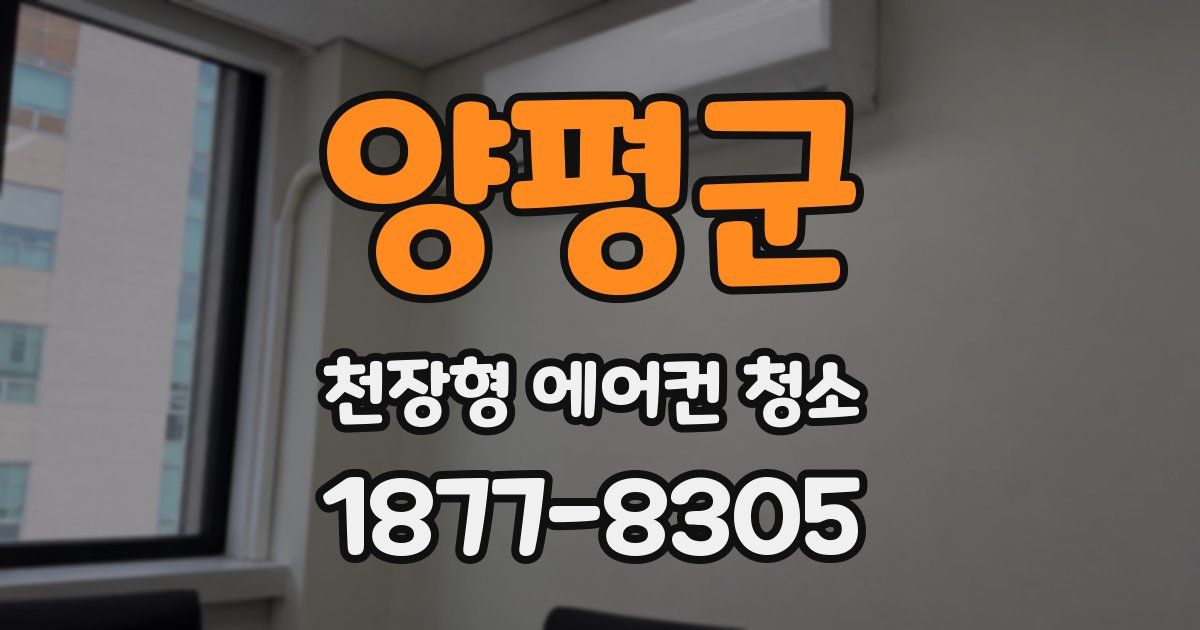 양평군 천장형 에어컨 청소