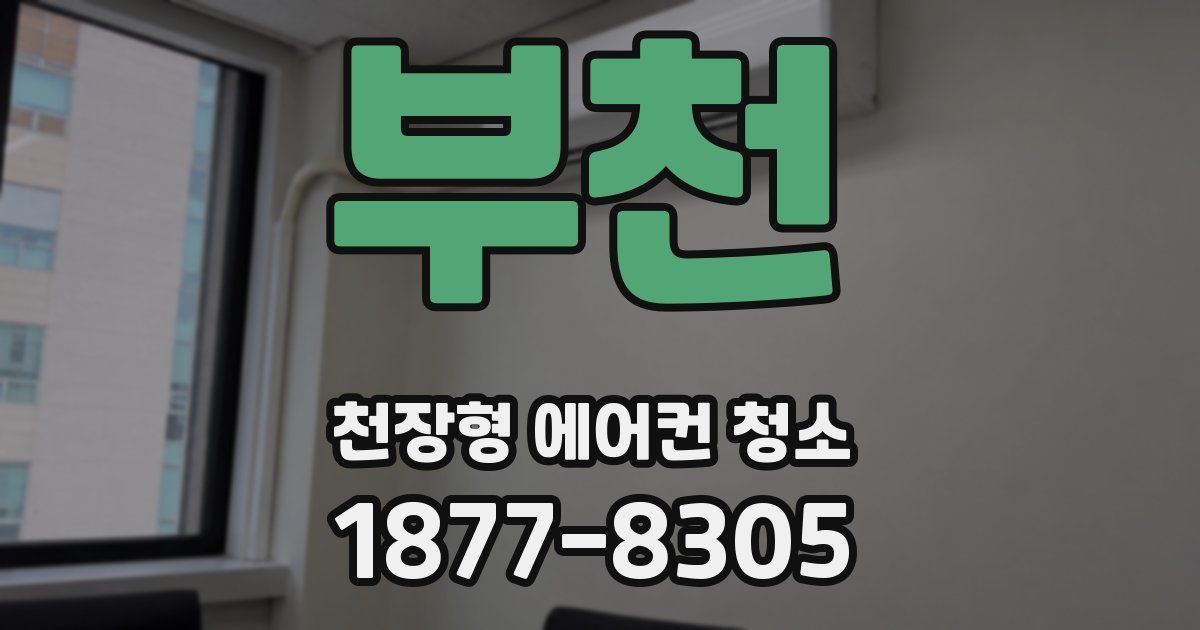 부천 천장형 에어컨 청소
