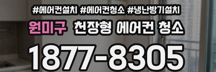 원미구 천장형 에어컨 청소