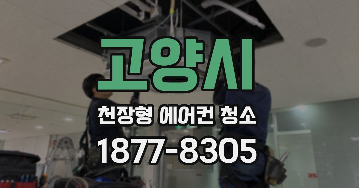 고양시 천장형 에어컨 청소