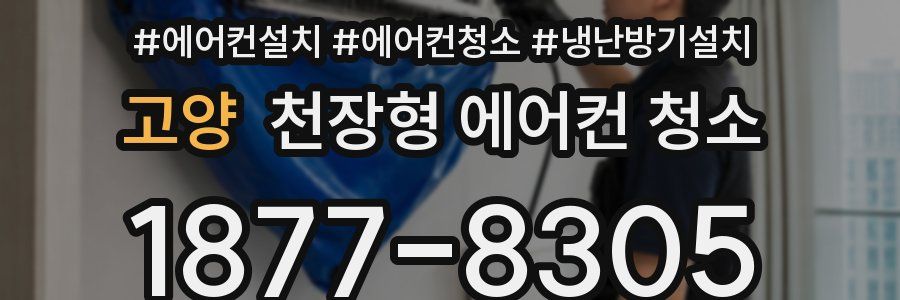 고양 천장형 에어컨 청소