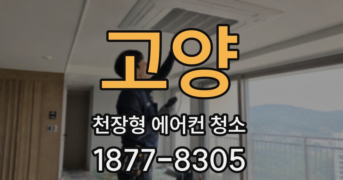 고양 천장형 에어컨 청소