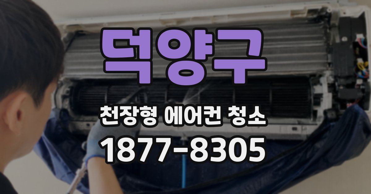 덕양구 천장형 에어컨 청소