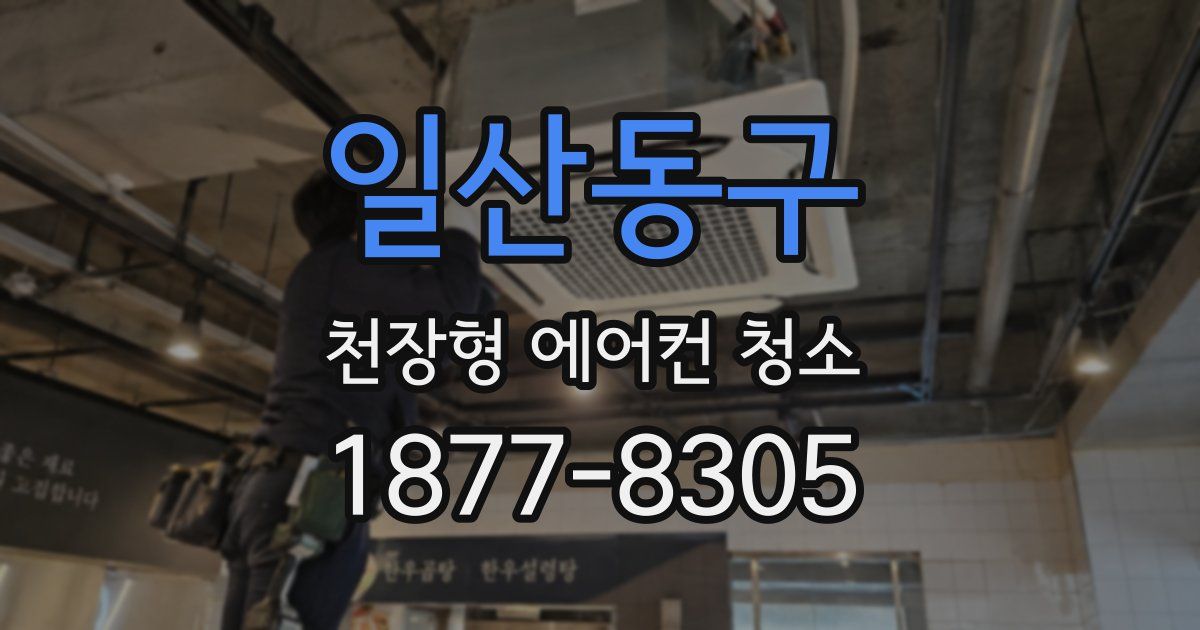 일산동구 천장형 에어컨 청소