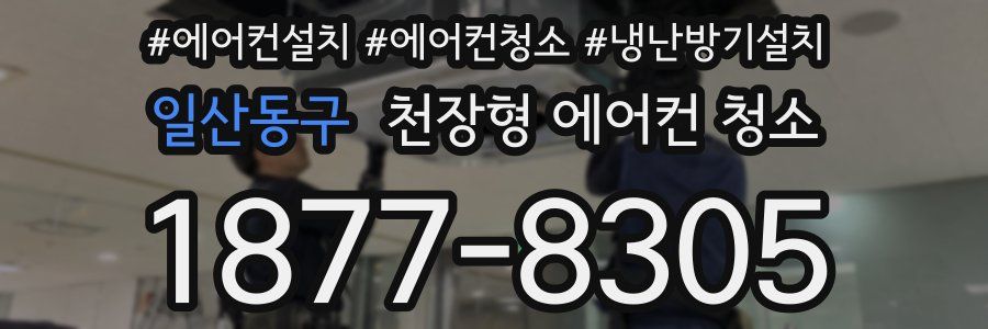 일산동구 천장형 에어컨 청소
