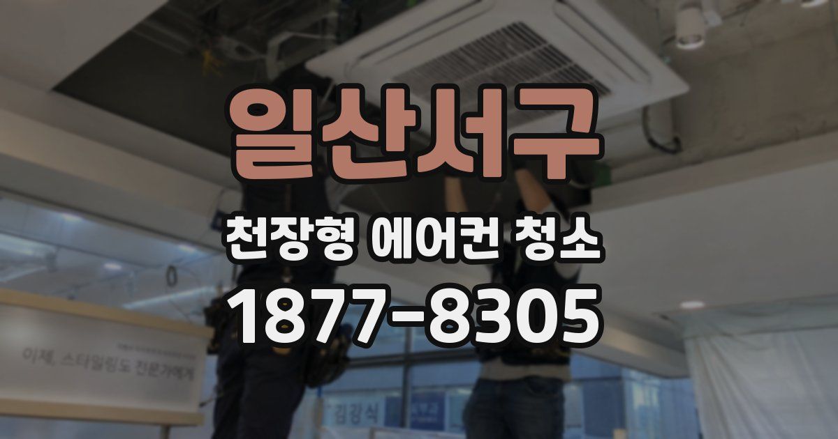 일산서구 천장형 에어컨 청소