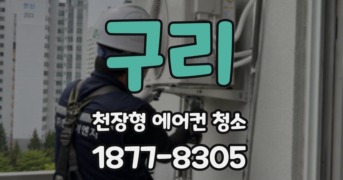 구리 천장형 에어컨 청소