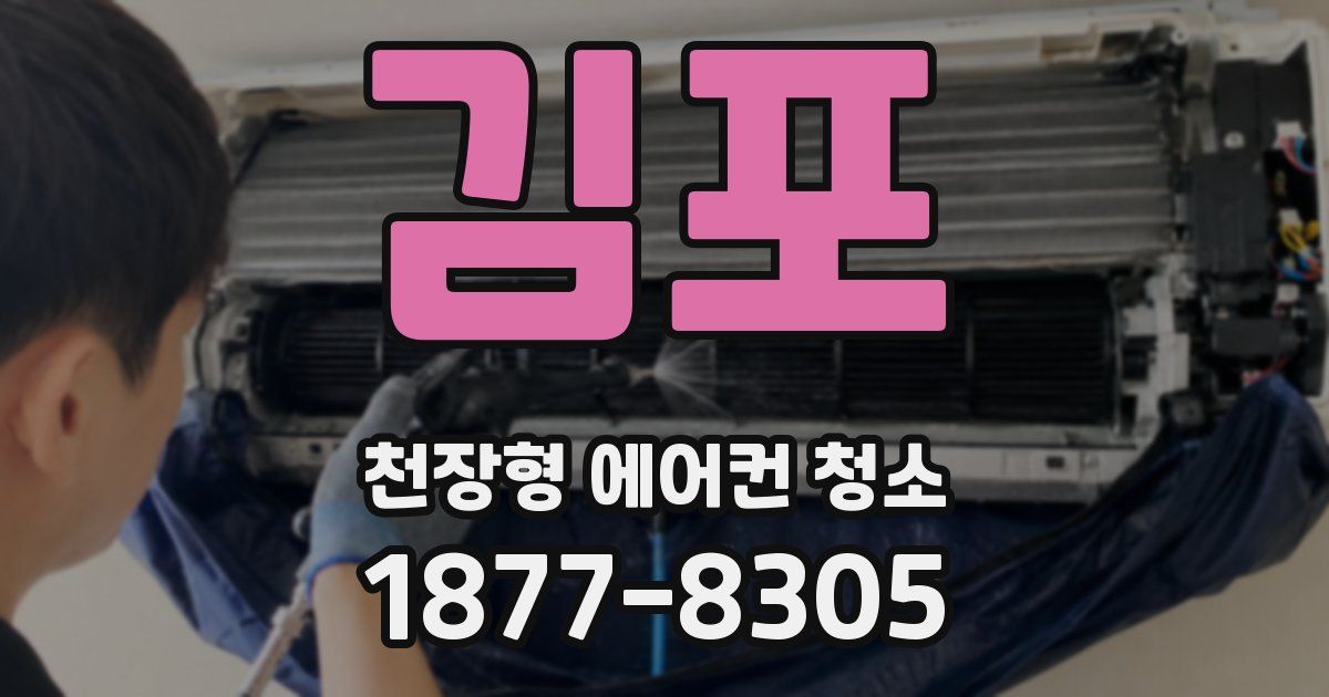 김포 천장형 에어컨 청소
