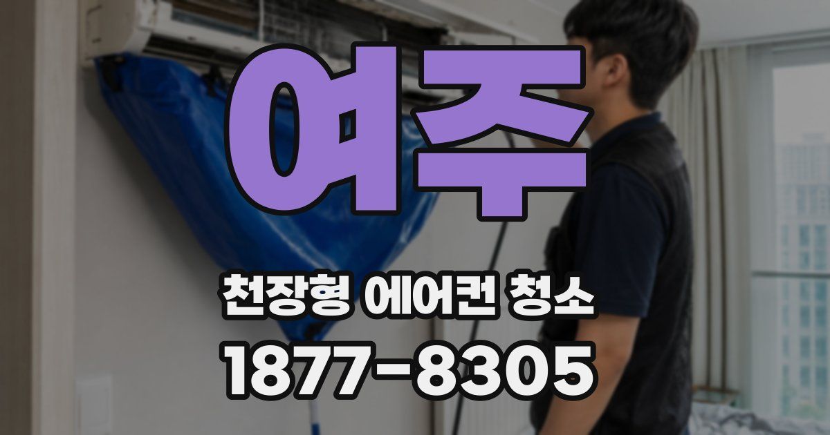 여주 천장형 에어컨 청소