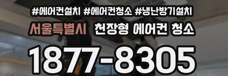 서울특별시 천장형 에어컨 청소