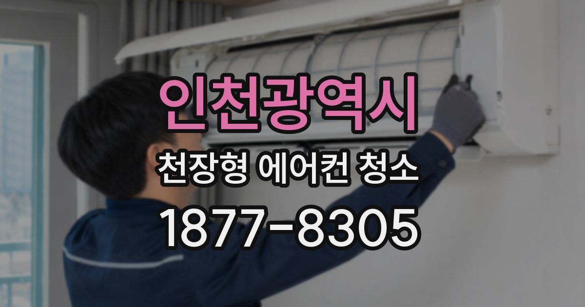 인천광역시 천장형 에어컨 청소