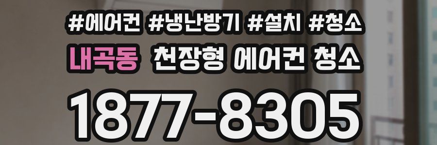 내곡동 천장형 에어컨 청소