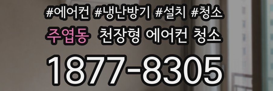 주엽동 천장형 에어컨 청소