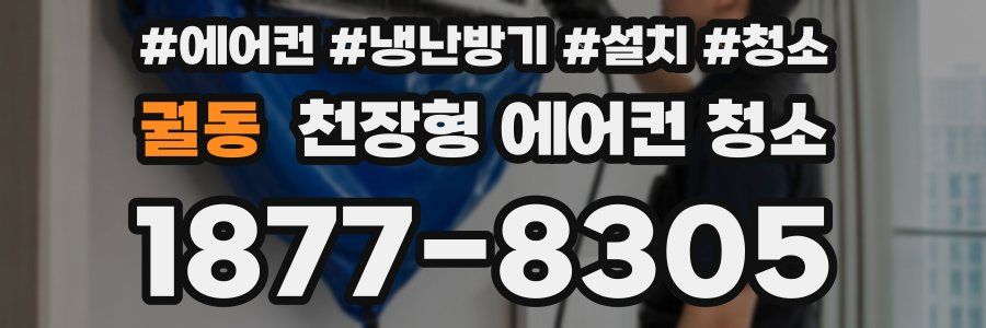 궐동 천장형 에어컨 청소