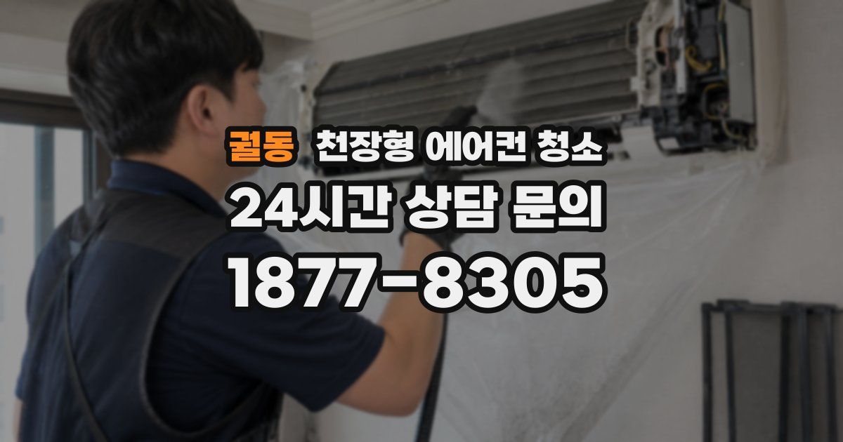 궐동 천장형 에어컨 청소