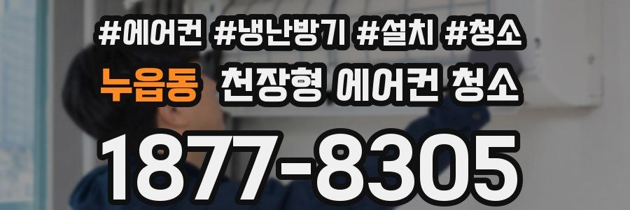 누읍동 천장형 에어컨 청소