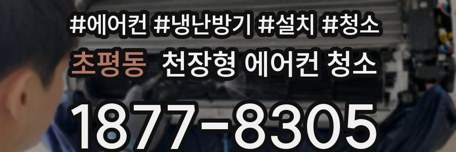 초평동 천장형 에어컨 청소