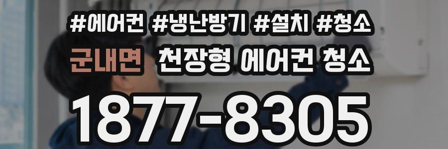 군내면 천장형 에어컨 청소