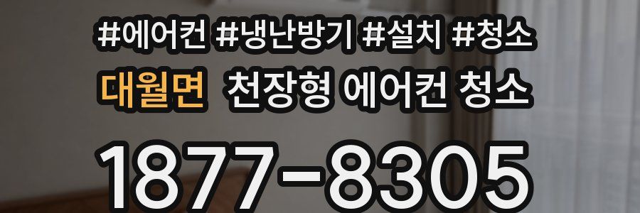 대월면 천장형 에어컨 청소
