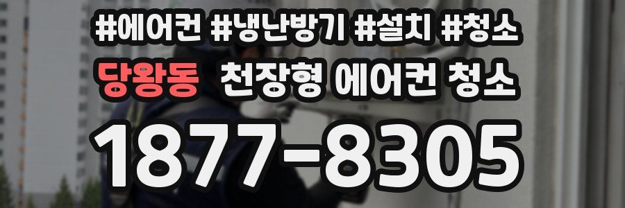 당왕동 천장형 에어컨 청소
