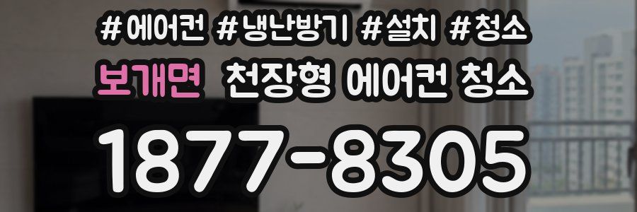 보개면 천장형 에어컨 청소