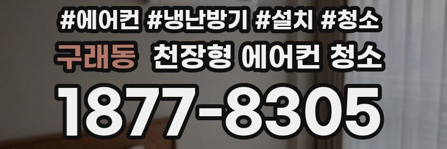 구래동 천장형 에어컨 청소