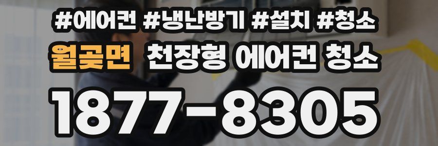 월곶면 천장형 에어컨 청소