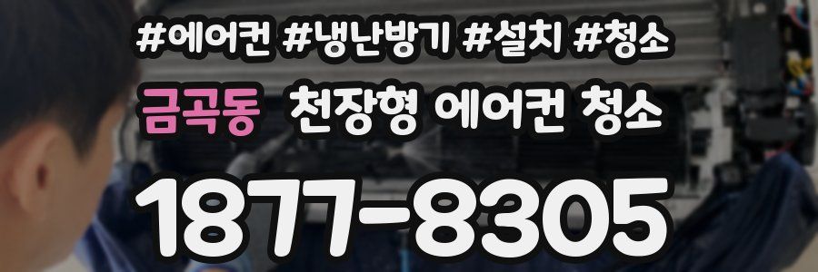 금곡동 천장형 에어컨 청소