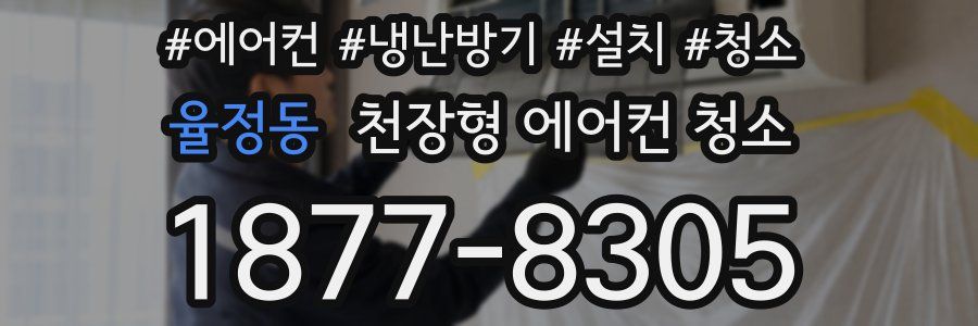 율정동 천장형 에어컨 청소