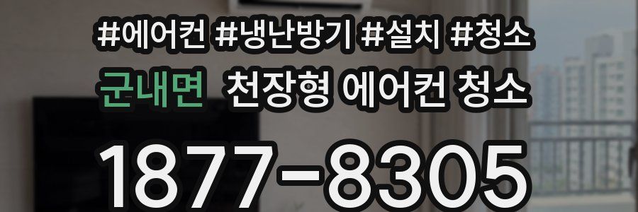 군내면 천장형 에어컨 청소