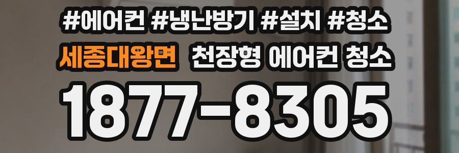 세종대왕면 천장형 에어컨 청소
