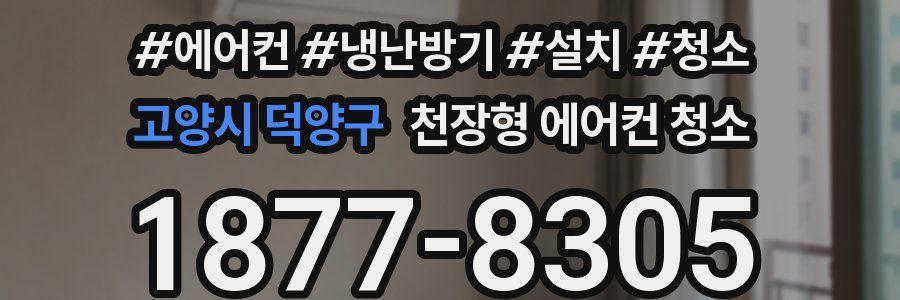 고양시 덕양구 천장형 에어컨 청소