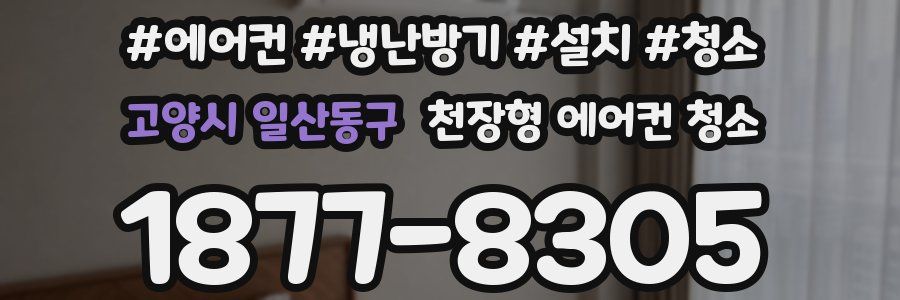 고양시 일산동구 천장형 에어컨 청소