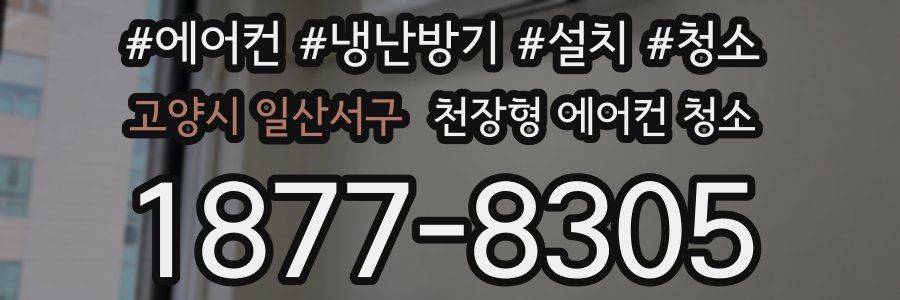 고양시 일산서구 천장형 에어컨 청소