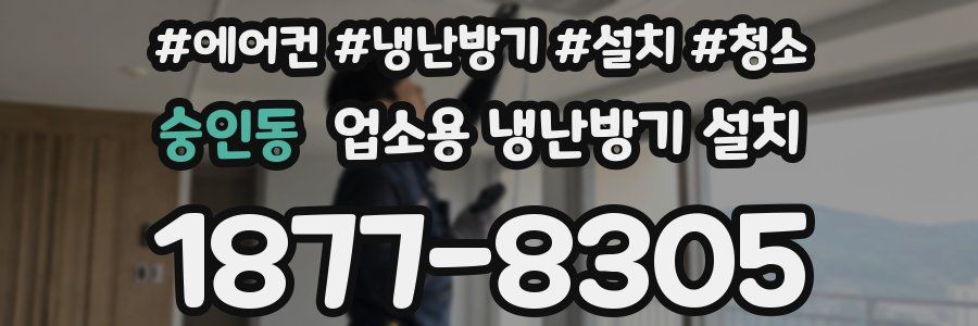 숭인동 업소용 냉난방기 설치