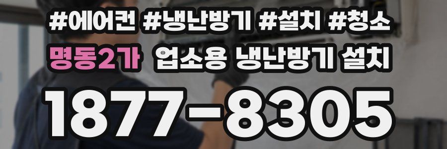 명동2가 업소용 냉난방기 설치