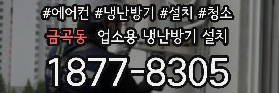 금곡동 업소용 냉난방기 설치