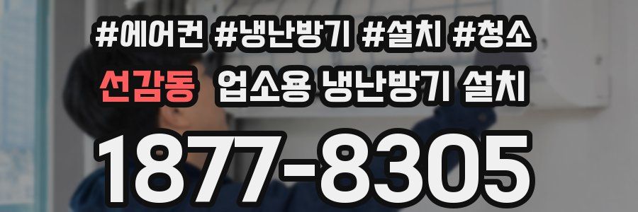 선감동 업소용 냉난방기 설치
