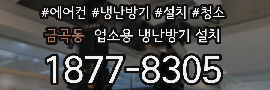 금곡동 업소용 냉난방기 설치