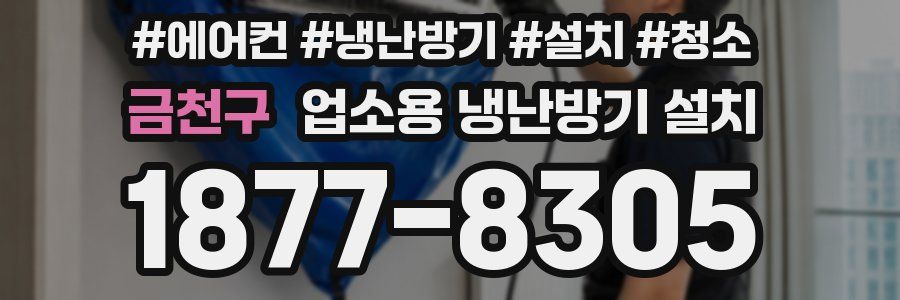 금천구 업소용 냉난방기 설치