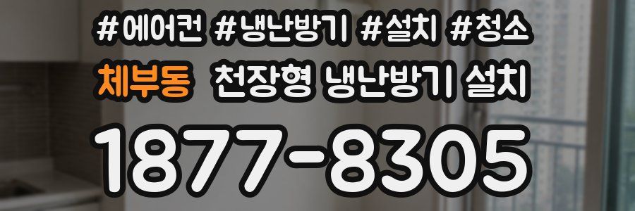 체부동 천장형 냉난방기 설치