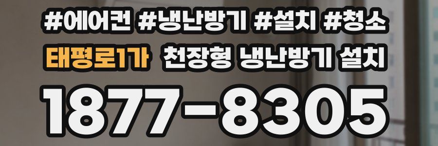 태평로1가 천장형 냉난방기 설치