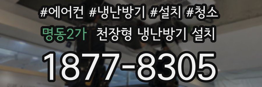 명동2가 천장형 냉난방기 설치