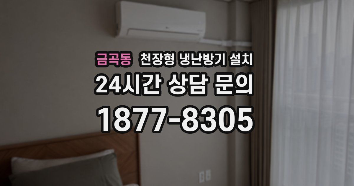금곡동 천장형 냉난방기 설치