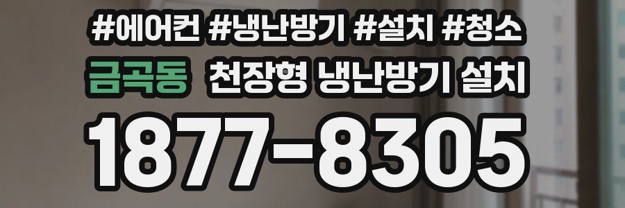 금곡동 천장형 냉난방기 설치