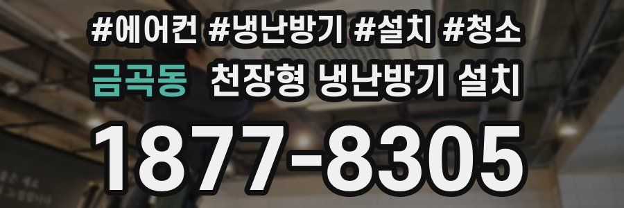 금곡동 천장형 냉난방기 설치