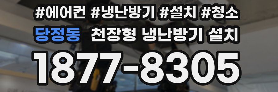 당정동 천장형 냉난방기 설치