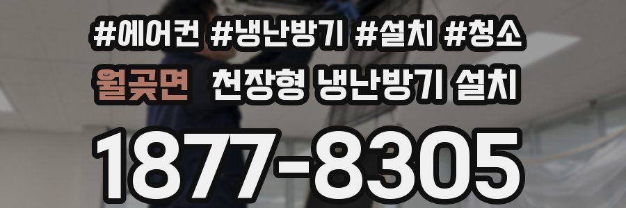 월곶면 천장형 냉난방기 설치